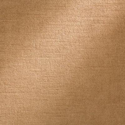 Royal Silk Mohair Velvet Light Raisin Legacy Fabric by Coraggio
