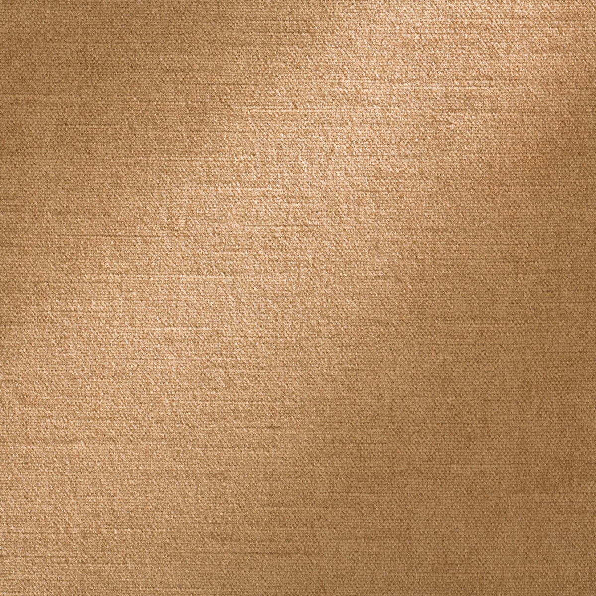 Royal Silk Mohair Velvet Light Raisin Legacy Fabric by Coraggio — flat