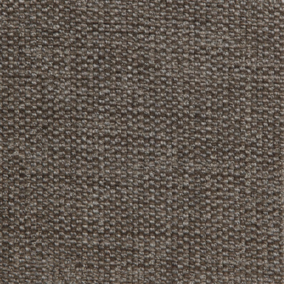 Brio Platinum Legacy Fabric by Coraggio