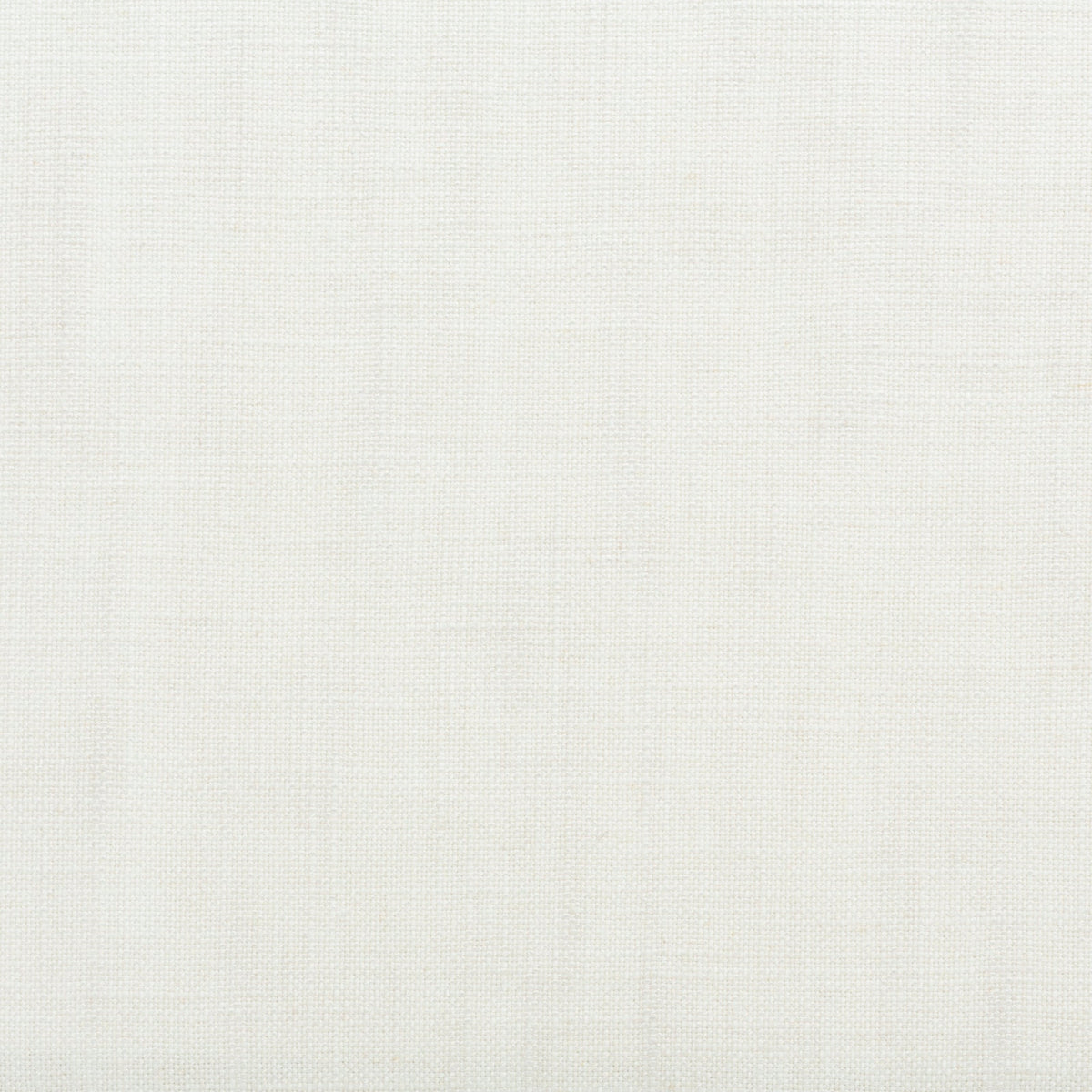 Primo Linen Palladian Legacy Fabric by Coraggio — flat