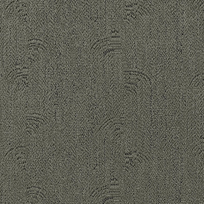 Solaro Steel Spring 2025 Fabric by Coraggio