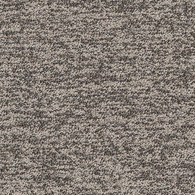 Pepato Stone Spring 2026 Fabric by Coraggio
