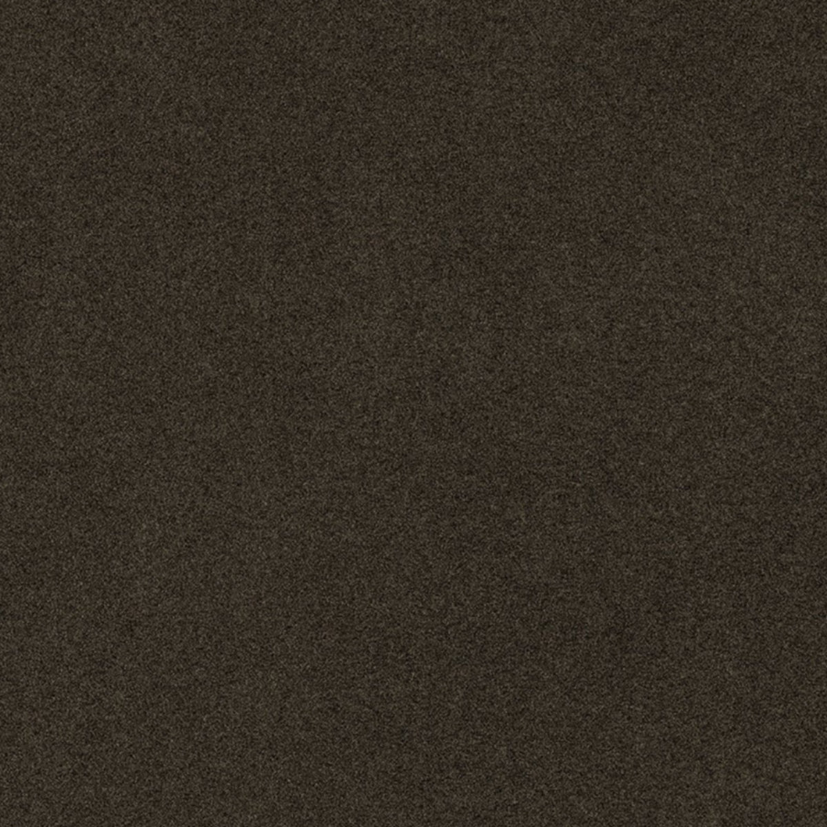 Via De La Paz Mink Thomas Lavin Fabric by Coraggio — flat