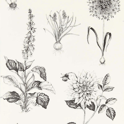 Roseraie Secret Garden Charcoal Wallpaper by Clarke & Clarke
