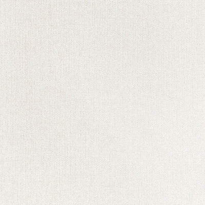 Cadie Ivory Signature Textures Fabric by Thibaut