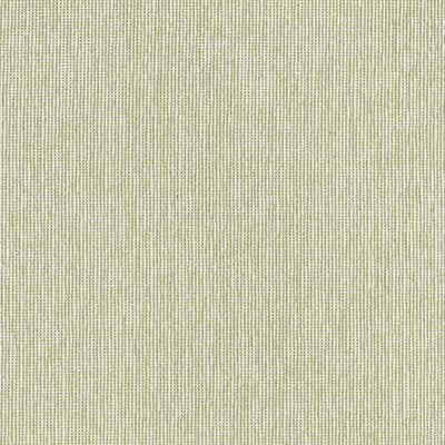 Cadie Moss Signature Textures Fabric by Thibaut