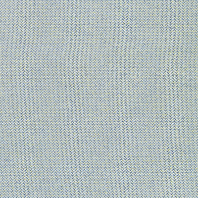 Bizette Whirlpool Signature Textures Fabric by Thibaut