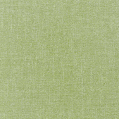 Barrett Grass Signature Textures Fabric by Thibaut