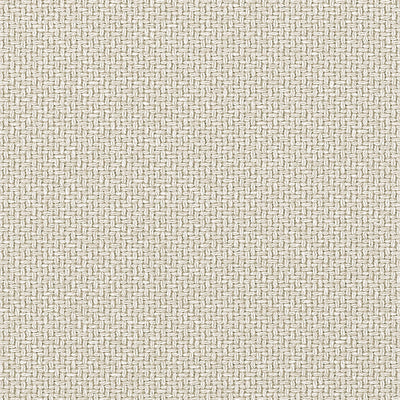 Abacos Jute Soleil Fabric by Thibaut