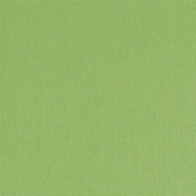 Palmer Kiwi Soleil Fabric by Thibaut
