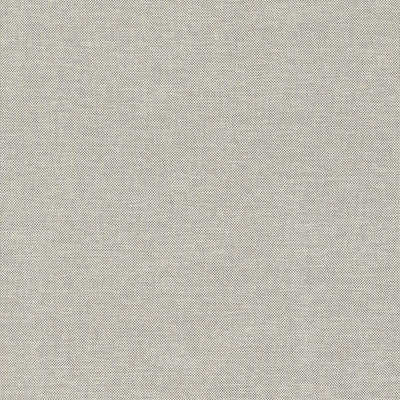 Finn Smoke Soleil Fabric by Thibaut