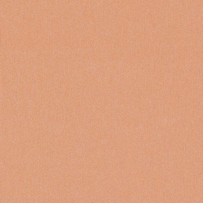 Finn Mandarin Soleil Fabric by Thibaut