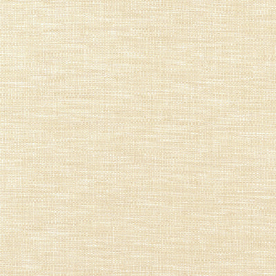 Kaden Parchment Woven Essentials Fabric by Thibaut
