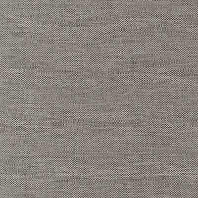 Kaden Ebony Woven Essentials Fabric by Thibaut