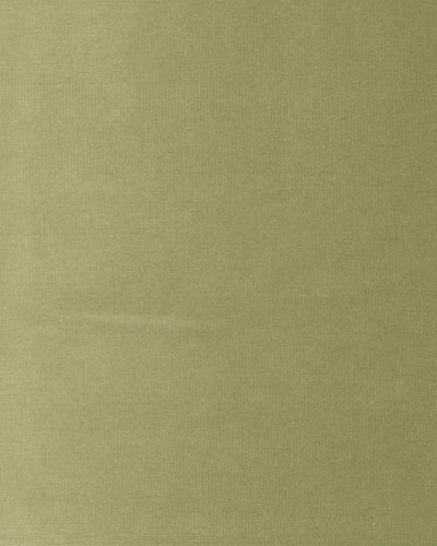 Venezia Pistacho Fabric by Coordonné