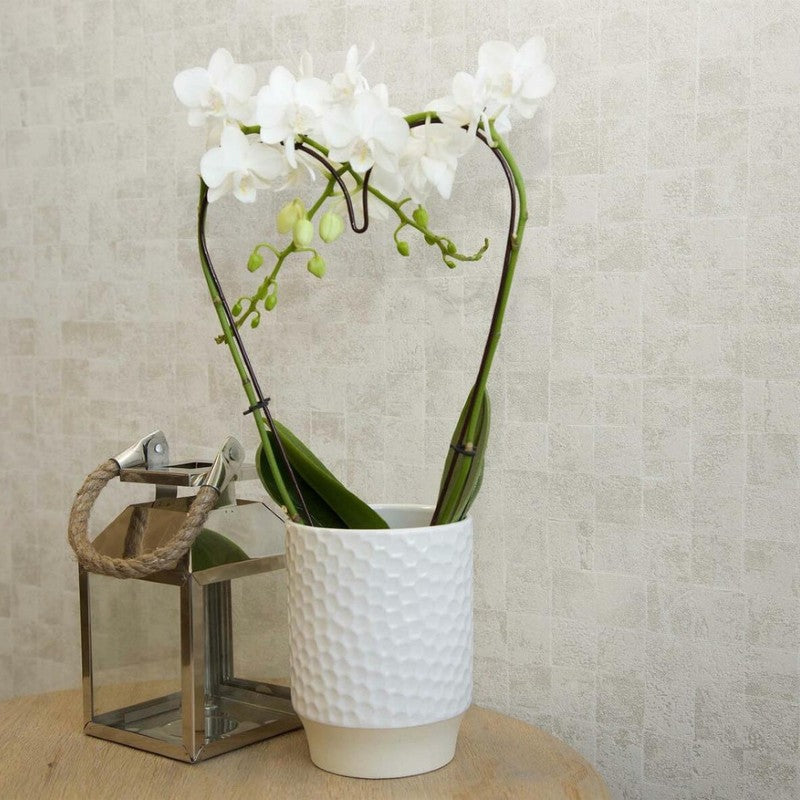 Capri Wallpaper Collection by Sketch Twenty 3