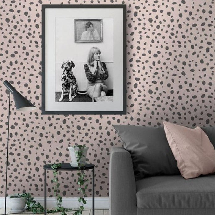 Dalmatian Wallpaper Collection by Holden Decor