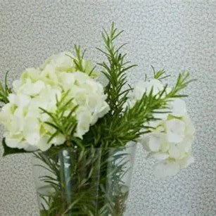 Opera Garden Wallpaper Collection by Baker Lifestyle