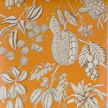 03106-01 Balangan Wallpaper by Manuel Canovas