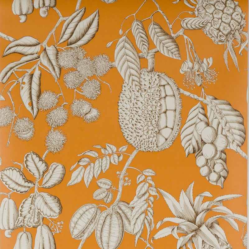 03106-01 Balangan Wallpaper by Manuel Canovas