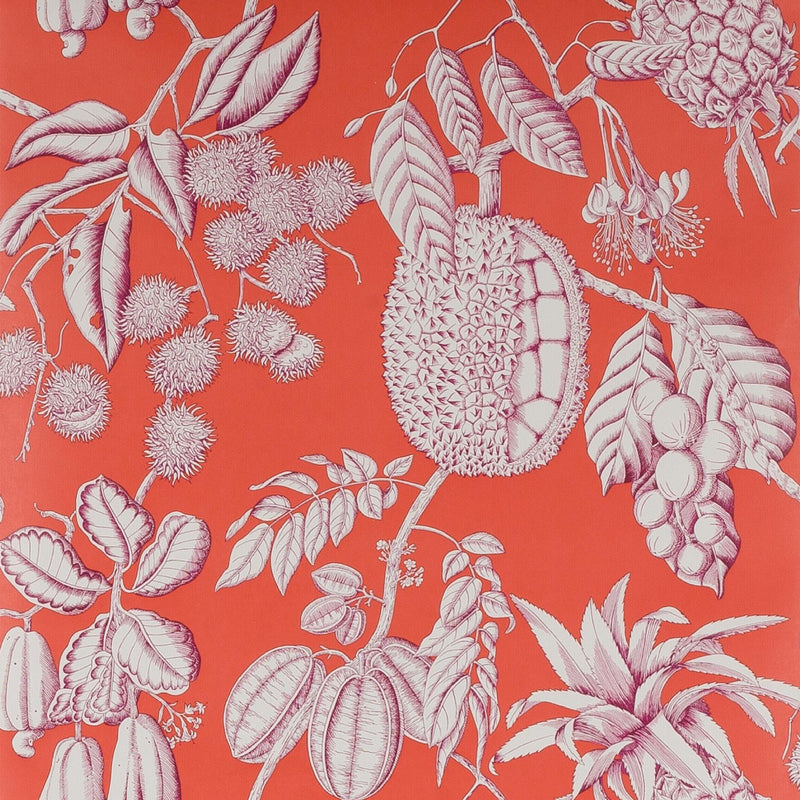 03106-02 Balangan Wallpaper by Manuel Canovas