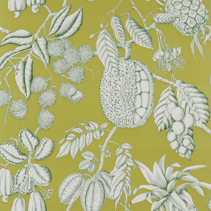 03106-03 Balangan Wallpaper by Manuel Canovas