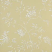07128/02 Delancey Messina Wallpaper By Colefax & Fowler