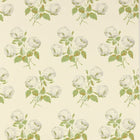 07401/02 Bowood Jardine Florals Wallpaper by Colefax and Fowler