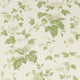Chantilly Jardine Florals Wallpaper by Colefax and Fowler