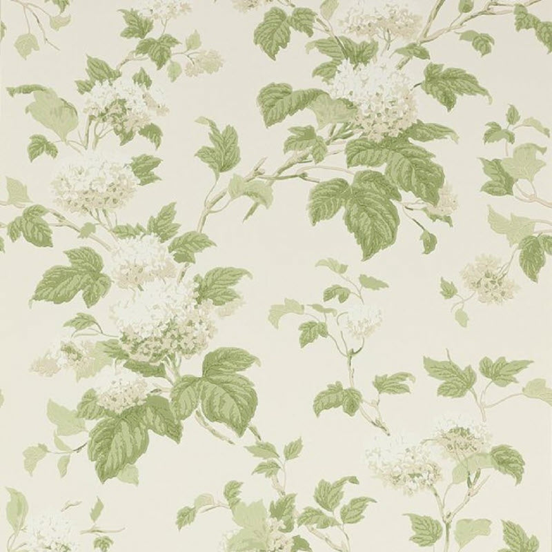 07816/09 Chantilly Jardine Florals Wallpaper by Colefax and Fowler