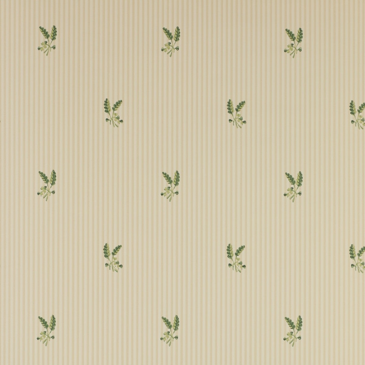 Fernwood Small Designs Wallpaper By Colefax & Fowler
