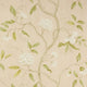 Snow Tree Jardine Florals Wallpaper by Colefax and Fowler