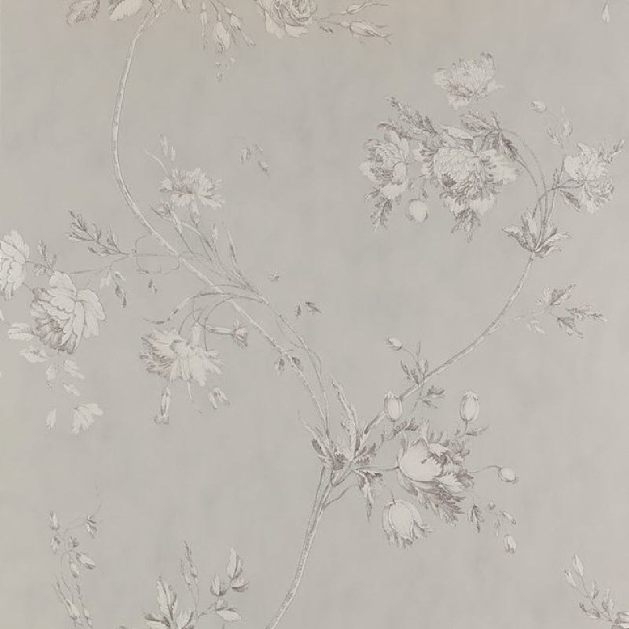 07957/09 Darcy Jardine Florals Wallpaper by Colefax and Fowler