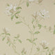 Marchwood Jardine Florals Wallpaper by Colefax and Fowler