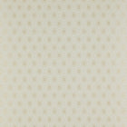 07989/04 Brightwell Small Designs Wallpaper By Colefax & Fowler