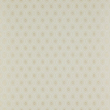 07989/04 Brightwell Small Designs Wallpaper By Colefax & Fowler
