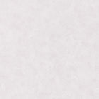 PAE100220360 Patine Uni Patine 2 Wallpaper by Caselio