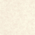 PAE100221012 Patine Uni Patine 2 Wallpaper by Caselio