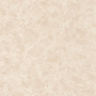 PAE100221348 Patine Uni Patine 2 Wallpaper by Caselio