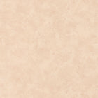 PAE100221522 Patine Uni Patine 2 Wallpaper by Caselio