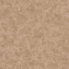 PAE100222284 Patine Uni Patine 2 Wallpaper by Caselio