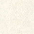 PAE100227129 Patine Uni Patine 2 Wallpaper by Caselio