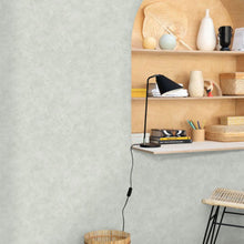 PAE100227232 Patine Uni Patine 2 Wallpaper by Caselio