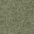 Patine Uni Patine 2 Wallpaper by Caselio
