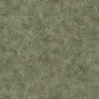 PAE100227750 Patine Uni Patine 2 Wallpaper by Caselio