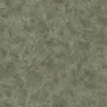PAE100227750 Patine Uni Patine 2 Wallpaper by Caselio