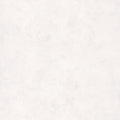 Patine Uni Gris Clair Wallpaper by Caselio