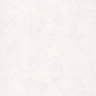 PAE100229003 Patine Uni Patine 2 Wallpaper by Caselio