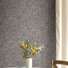 PAE100229797 Patine Uni Patine 2 Wallpaper by Caselio