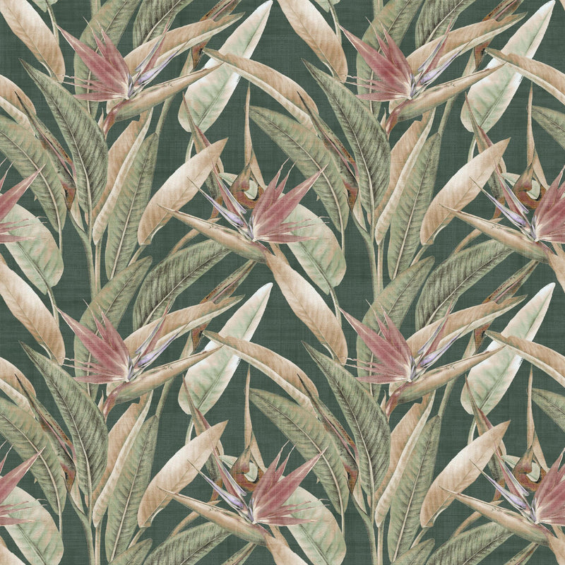 100395AH Jungle Vines by Wallpaper by Arthouse